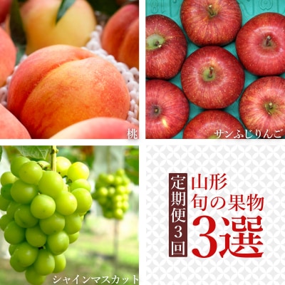 【R7年8月～12月発送】【定期便3回】山形旬の果物3選(桃/シャインマスカット/りんご)H239