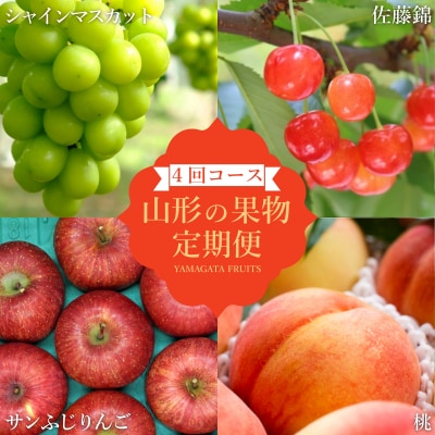 【R7年6月～12月発送】【定期便4回】山形旬の果物4選(佐藤錦桃シャインマスカットりんご)H240