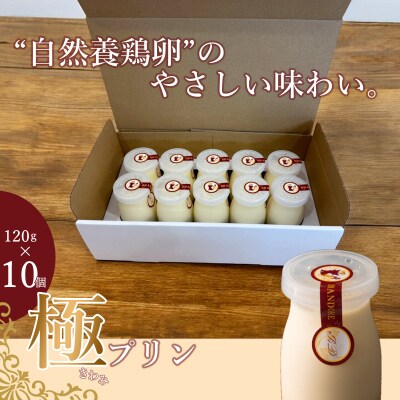 ブランドォレの長井極みプリン10個_E144