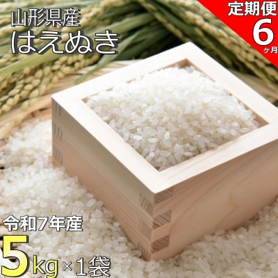 【定期便6ヶ月】【令和7年産】山形県産「はえぬき」5kg×1袋×6ヶ月_A191(R7)