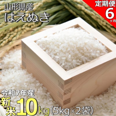 【定期便6ヶ月】【令和7年産新米】山形県産「はえぬき」10kg(5kg×2袋)×6ヶ月_A192
