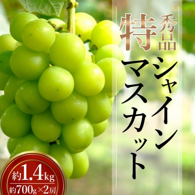 【2026年発送】「特秀」シャインマスカット約1.4kg(約700g×2房)_H246(R8)
