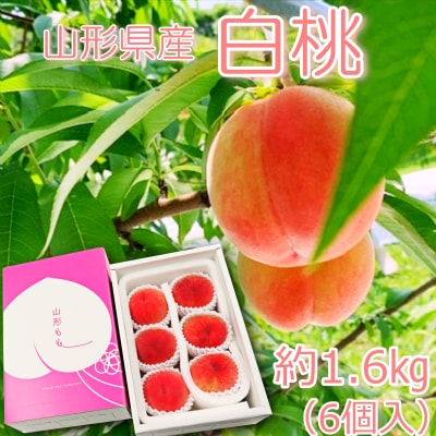 【2026年発送】山形県産 桃(品種おまかせ)約1.6kg(6個)_H249(R8)