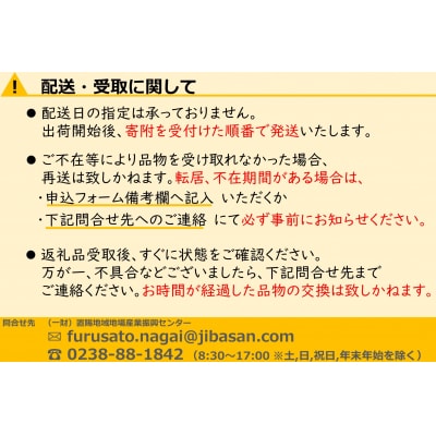 【2026年発送】山形県産 桃(品種おまかせ)約1.6kg(6個)_H249(R8)