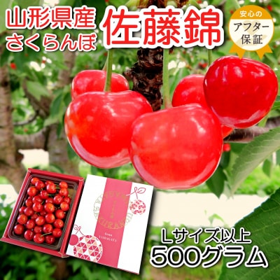【2026年発送】「秀品」さくらんぼ佐藤錦約500g(L以上・バラ詰)_H248(R8)