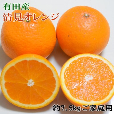 【濃厚】有田産清見オレンジ約7.5kg(M～3Lサイズ)ご家庭用(九度山町)