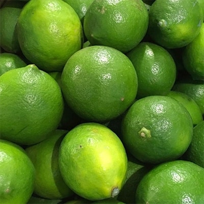 【産直】和歌山産グリーンレモン約3kg(サイズ混合)(九度山町)