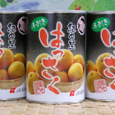 和歌山産手剥き八朔缶詰450g×8缶入り(九度山町)