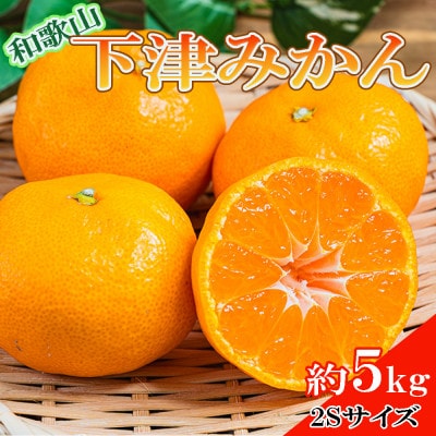 【産直・秀品】和歌山下津みかん約5kg(2Sサイズ)(九度山町)