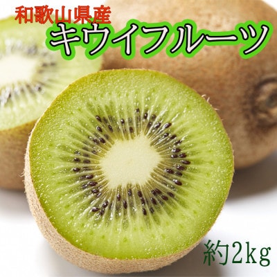 和歌山県産キウイフルーツ約2kg(サイズ混合)【九度山町】