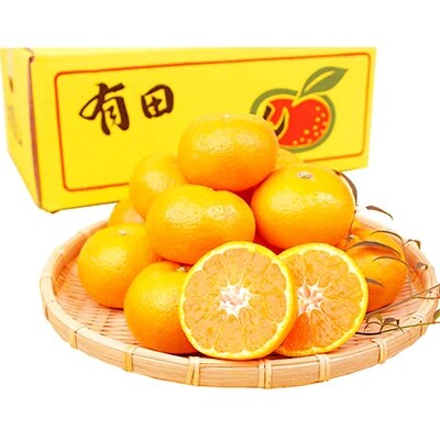 【2022年11月上旬発送】紀州有田産　濃厚完熟温州みかん(約5kg)