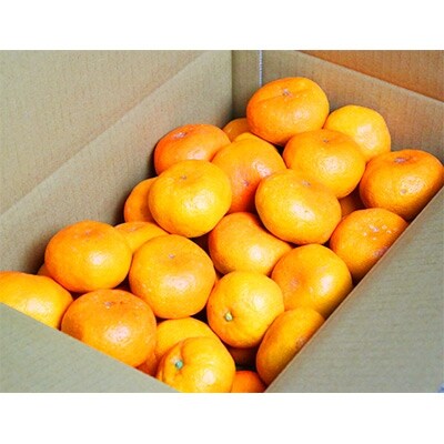 【2022年11月上旬発送】紀州有田産　濃厚完熟温州みかん(約5kg)