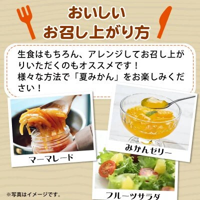 【2024年発送】【九度山町】夏みかん　7.2kg