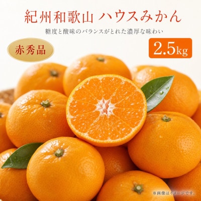 【九度山町】赤秀品　紀州和歌山ハウスみかん　約2.5kg