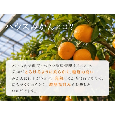 【九度山町】赤秀品　紀州和歌山ハウスみかん　約2.5kg