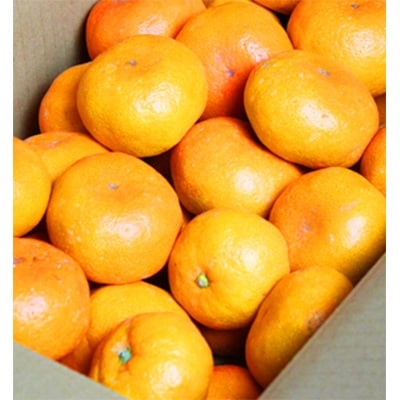 【2022年11月中旬発送】赤秀品　紀州有田産濃厚完熟温州みかん　3kg(MサイズまたはSサイズ)