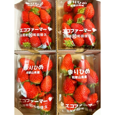 【九度山町】紀州和歌山ブランドいちご「まりひめ」約250g×4P