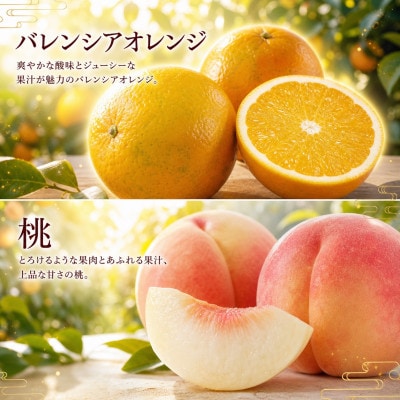 【発送月固定定期便】紀州和歌山産旬のフルーツセット(バレンシア・桃・ひらたねなし柿・みかん)全4回