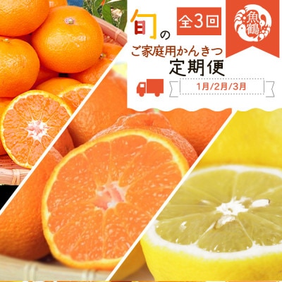 【発送月固定定期便】紀州和歌山産旬のご家庭用柑橘セット(みかん・不知火・レモン)全3回