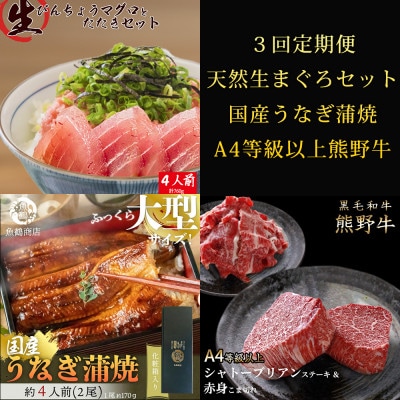 【毎月定期便】紀州和歌山うまいもんセットC(生まぐろ・うなぎ蒲焼・熊野牛)全3回