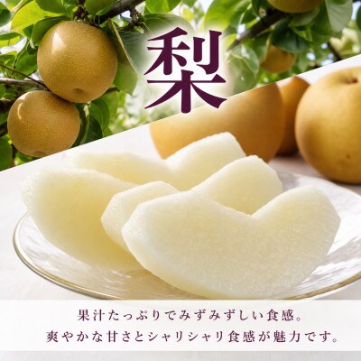 【発送月固定定期便】紀州和歌山産旬のフルーツセット(桃・梨・ピオーネ)全3回