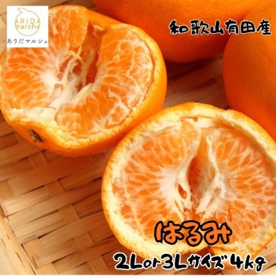 ≪先行予約 2027年1月下旬～発送≫和歌山有田の濃厚はるみ 約4kg (2L又は3Lサイズ)