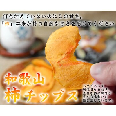 やわらか柿チップス 80g 10パック 紀州味紀行 柿和歌 無添加