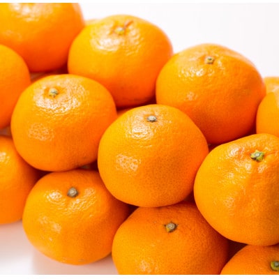 ブランド有田みかん【L】秀品10kg/薄皮で甘い美味しいみかん/産地直送
