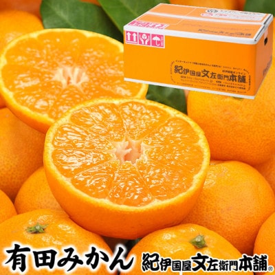 有田みかん【秀品5kg】サイズおまかせ/薄皮で甘い美味しいみかん/産地直送