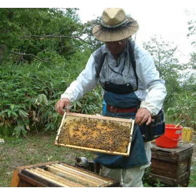 熊野古道　峠の蜂蜜(180g×2本セット)【澤株式会社(九度山町)】
