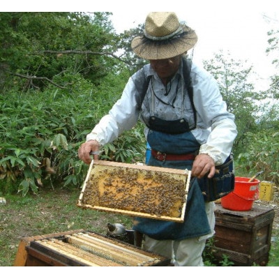 【2025年6月上旬発送】熊野古道　峠の蜂蜜・みかん蜂蜜