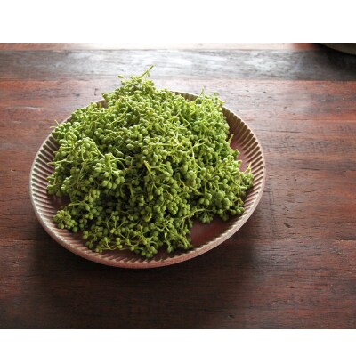 【九度山町】【熊野牛】紀州ごちそうオードブルセット