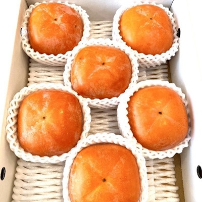 【秋の味覚】和歌山産たねなし柿約2kg  化粧箱入り(2L～4Lサイズ)(九度山町)
