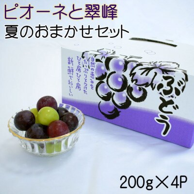 ピオーネと翠峰の夏のおまかせセット約200g×4パック(九度山町)