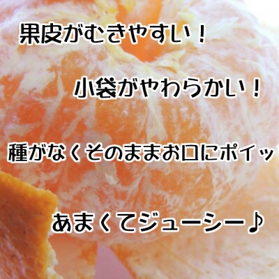 【秀品】和歌山有田のデコポン!約2.5kg　ギフトにも!