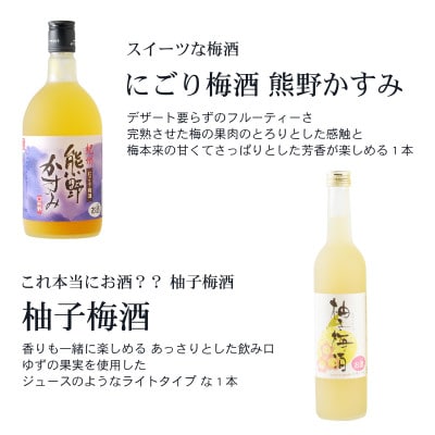 【九度山町】紀州の梅酒 飲み比べ6本セット