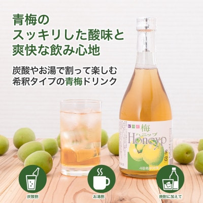 【九度山町】希釈用梅ドリンク 梅ハニップ 3本セット