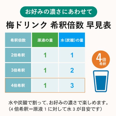 【九度山町】希釈用梅ドリンク 梅ハニップ 3本セット