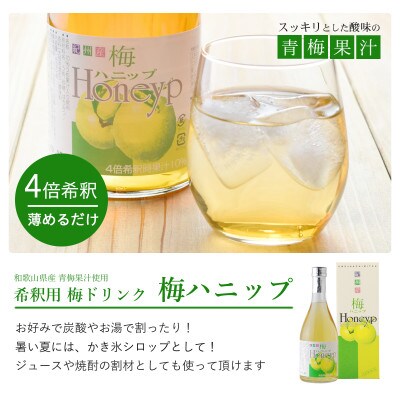 【九度山町】希釈用梅ドリンク 梅ハニップ 12本セット