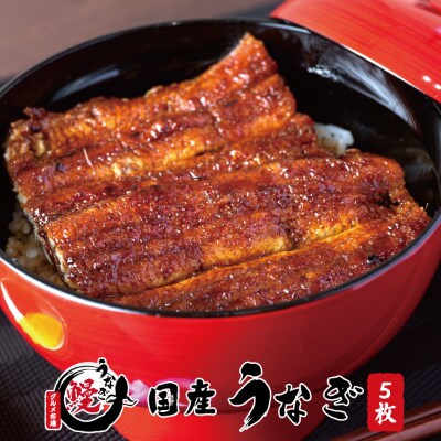 国産うなぎ蒲焼 大サイズ5枚(合計約750g)薬味付【九度山グルメ市場】