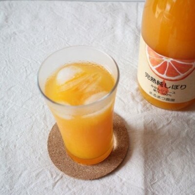 みかん農家が作った 果汁100%ストレート温州みかんジュース720ml×2本 和歌山県
