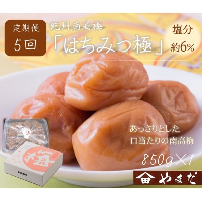 【2ヵ月毎定期便】紀州南高梅はちみつ極塩分約6%(850g)全5回