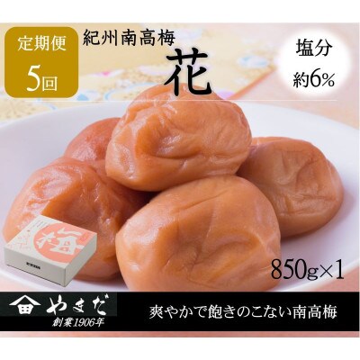 【2ヵ月毎定期便】紀州南高梅「花」塩分約6%(850g)全5回