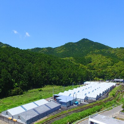 【2022年2月上旬発送】【和歌山県九度山町】熊野なまず蒲焼詰合わせ　3パック入り