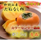 【2025年発送】JA紀北かわかみのたねなし柿 秀品 7.5kg L～3Lサイズ(36玉～28玉)