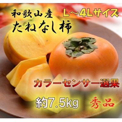 JAわかやま(紀北地域本部)のたねなし柿 秀品 7.5kg L～4Lサイズ(36玉～24玉)
