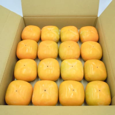 JAわかやま(紀北地域本部)のたねなし柿 秀品 7.5kg L～4Lサイズ(36玉～24玉)