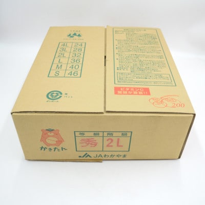 JAわかやま(紀北地域本部)のたねなし柿 秀品 7.5kg L～4Lサイズ(36玉～24玉)