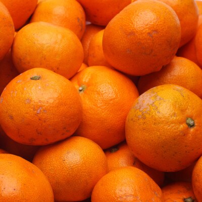 家庭用 有田みかん5kg+250g(傷み補償分)【光センサー選果】【訳あり】