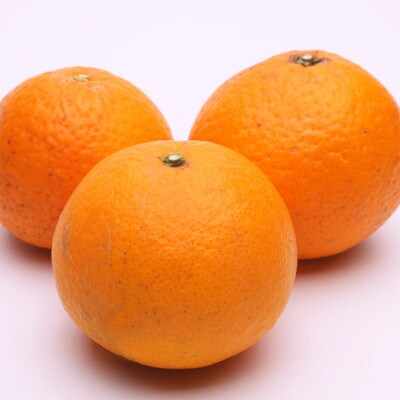 <2月より発送>厳選きよみオレンジ5.5kg+165g(傷み補償分) 【光センサー】【樹上完熟清見】